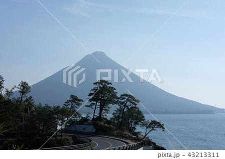 開聞岳 鹿児島県 せびら自然公園 開聞岳 鹿児島県 せびら自然公園 43213311