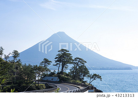 開聞岳 鹿児島県 せびら自然公園 開聞岳 鹿児島県 せびら自然公園 43213313