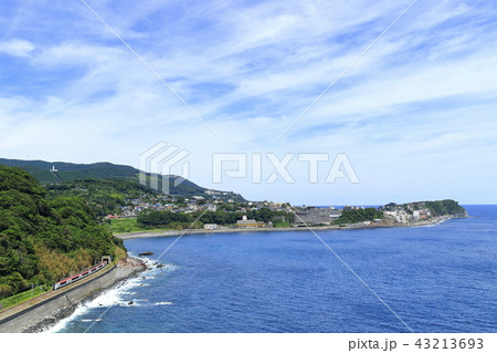 マリンエクスプレス踊り子号 マリンエクスプレス踊り子号 43213693