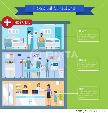 Hospital Structure and Floors Vector Illustration Hospital Structure and Floors Vector Illustration 43213935