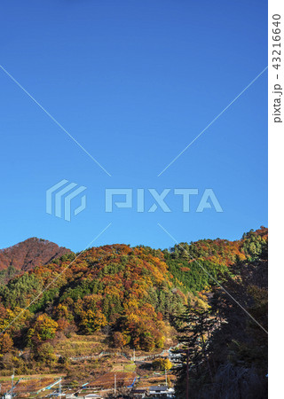 【昇仙峡 紅葉】 【昇仙峡 紅葉】 43216640