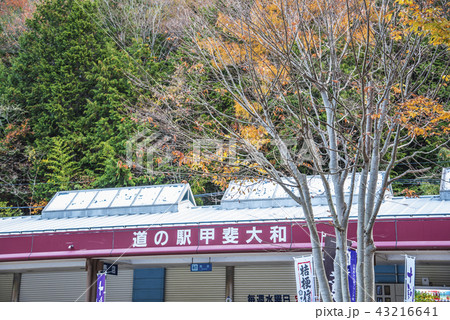 【甲斐大和 道の駅 紅葉】 【甲斐大和 道の駅 紅葉】 43216641