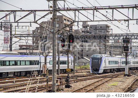 【特急スーパーあずさ　E353系　八王子駅】 43216650