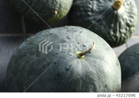 西瓜 スイカ 中山かぼちゃ 南瓜 カボチャ 中山カボチャ 野菜 収穫 夏 季節 農業の写真素材