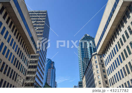 Skyscrapers in Montreal downtown, Canada Skyscrapers in Montreal downtown, Canada 43217782