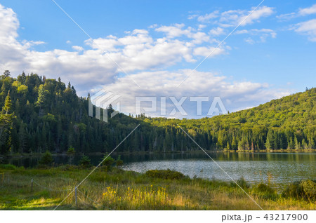 Scenic view from atop a mountain in Mont Tremblant 43217900