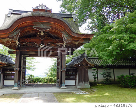 西教寺　宗祖大師殿唐門 43219276