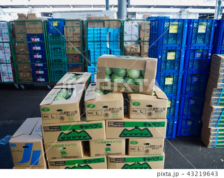 大田市場 大田市場 43219643