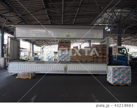 大田市場 43219663