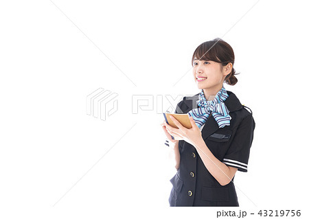 メモをとるキャビンアテンダント メモをとるキャビンアテンダント 43219756