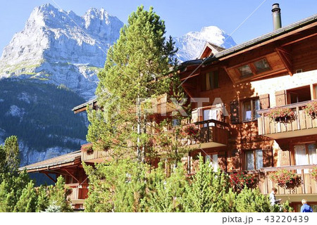 グリンデルワルトからアイガー北壁 グリンデルワルトからアイガー北壁 43220439