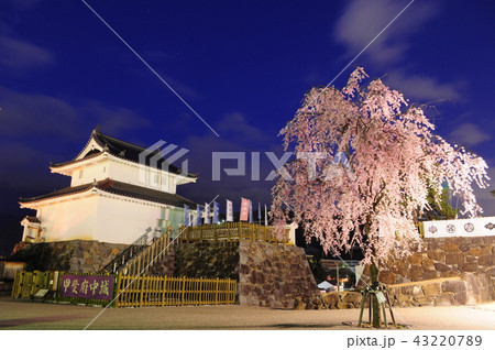 山梨県甲府市、舞鶴城公園から望む夜景と夜桜 山梨県甲府市、舞鶴城公園から望む夜景と夜桜 43220789