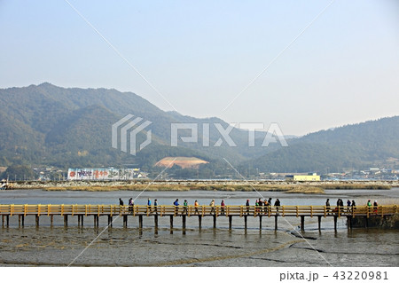 ガウも 干潟 海 43220981