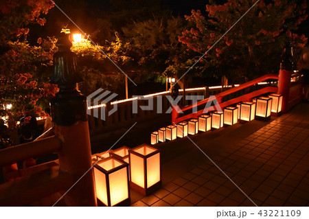 高崎白衣観音　万灯会 43221109
