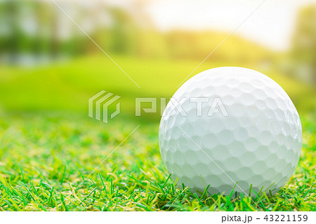 Golf ball on green course outdoor sport play 43221159