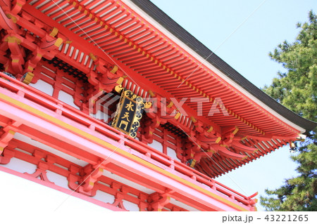 赤間神宮 43221265