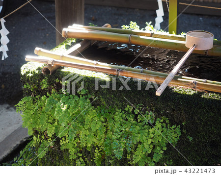 東京都大田区の御嶽神社の手水舎 東京都大田区の御嶽神社の手水舎 43221473