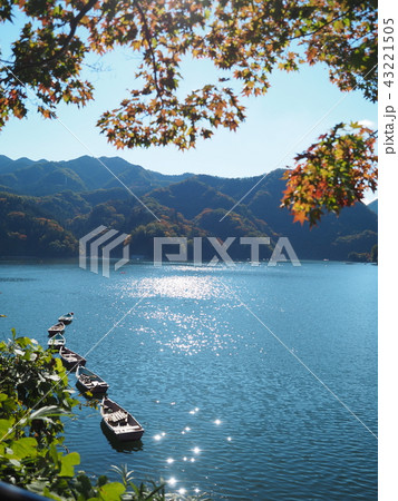 神奈川県 相模湖の紅葉の写真素材