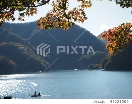神奈川県、相模湖の紅葉 43221506