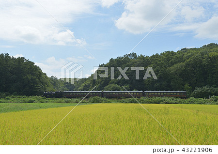 真岡鐵道と田園風景 真岡鐵道と田園風景 43221906