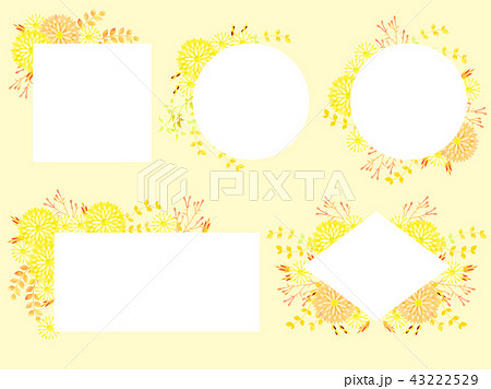 黄色い秋の花のフレーム 43222529