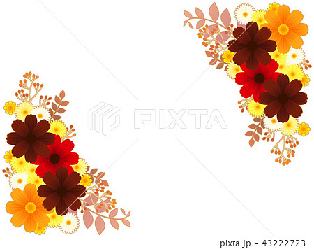 Chocolate Cosmos Frame Stock Illustration