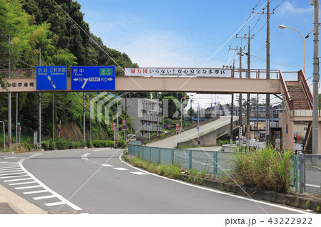 川崎市多摩区の生田8丁目から根岸陸橋（枡形4丁目）方面を見る 43222922