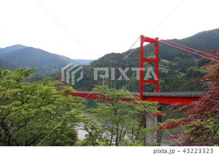 大渡ダム大橋 43223323