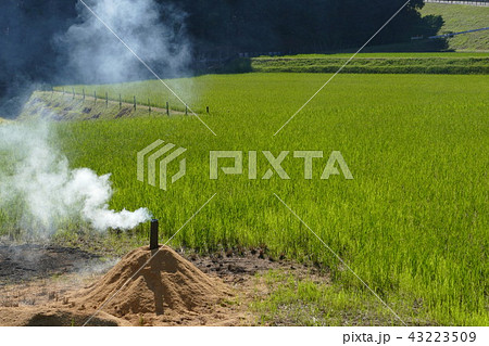 籾殻くん炭 43223509