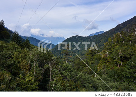 国道158号　安房峠からの眺め 43223685