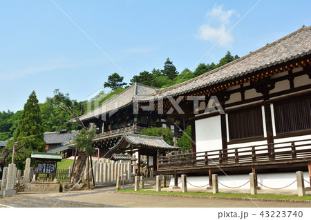 奈良・東大寺 奈良・東大寺 43223740