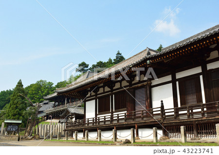 奈良・東大寺 43223741