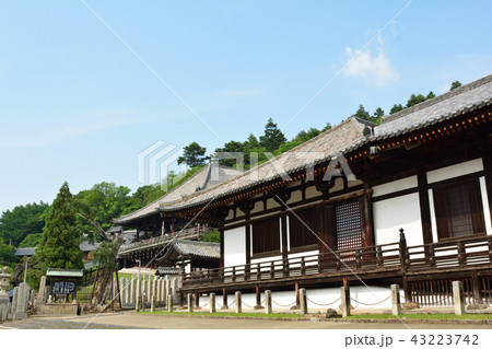奈良・東大寺 43223742
