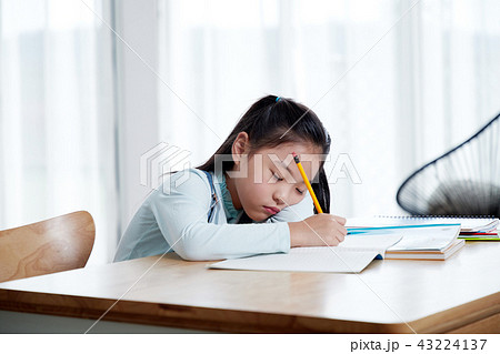 韓国人 女性 女 43224137