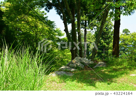 日本100名城・高取城 43224164