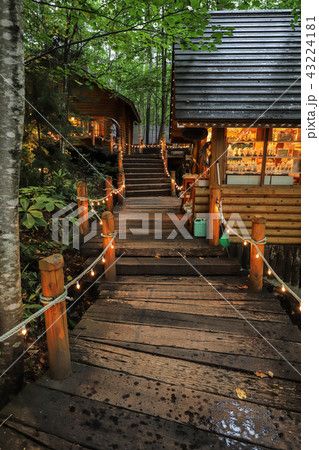 ニングルテラス　富良野 43224181