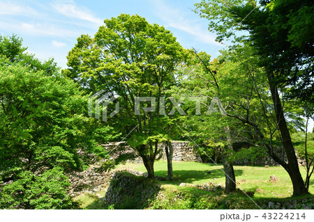 日本100名城・高取城 43224214