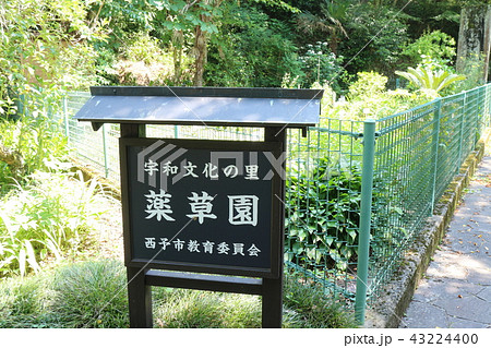 宇和文化の里　薬草園 43224400