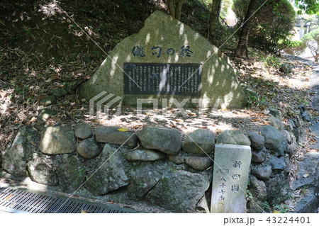 西予市　卯之町　俳句の径 43224401