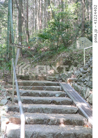 西予市　卯之町　俳句の径　登山道 43224402