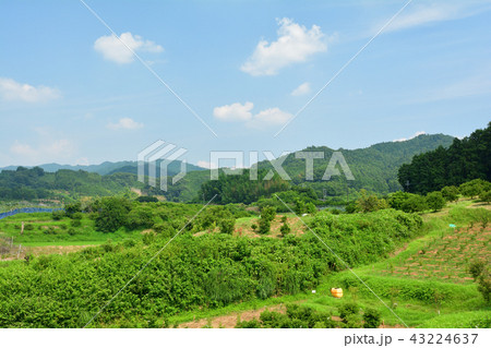 飛鳥・高松塚古墳 飛鳥・高松塚古墳 43224637