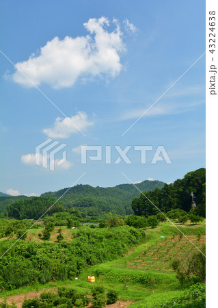 飛鳥・高松塚古墳 飛鳥・高松塚古墳 43224638