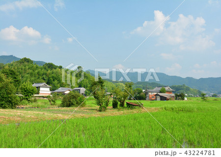 奈良・飛鳥寺 43224781