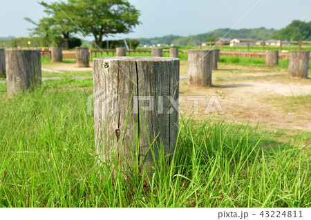 奈良・飛鳥 奈良・飛鳥 43224811