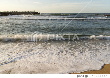 ハワイ海水浴場（鳥取県） 43225332