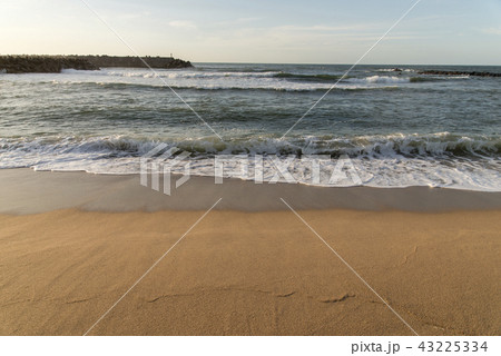ハワイ海水浴場（鳥取県） 43225334