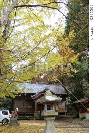 大洲・稲荷山公園の紅葉 43225595