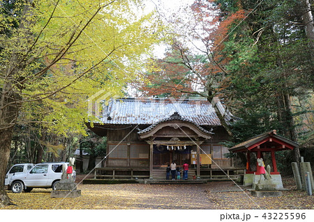 大洲・稲荷山公園の紅葉 43225596