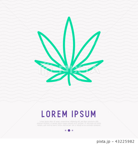 Leaf of marijuana thin line icon 43225982