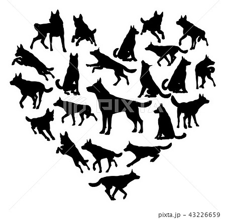 German Shepard Alsatian Dog Heart Concept 43226659